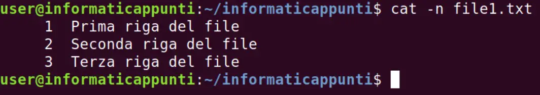 Il Comando Cat Linux Guida Completa Con Esempi Informaticappunti